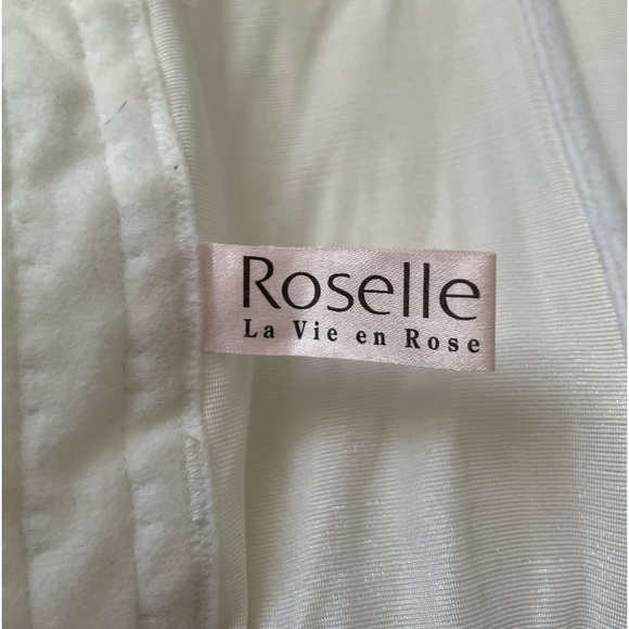 Vintage silk La Vie En Rose corset - Picture 3 of 5